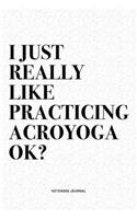 I Just Really Like Practicing Acroyoga Ok?: A 6x9 Inch Notebook Journal Diary With A Bold Text Font Slogan On A Matte Cover and 120 Blank Lined Pages Makes A Great Alternative To A Card