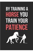 By Training A Horse You Train Your Patience