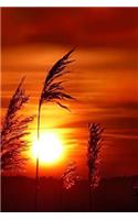Sunset Notebook
