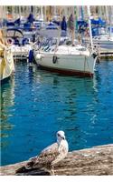 Seagull Waiting in the Marina Journal: Take Notes, Write Down Memories in this 150 Page Lined Journal