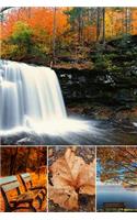 The Beauty in Fall Journal