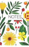 Notes
