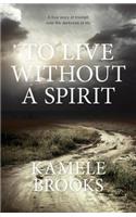 To Live Without a Spirit