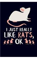 I Just Really Like Rats, Ok