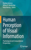 Human Perception of Visual Information