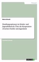 Handlungsoptionen im Kinder- und Jugendhilferecht. Über die Kooperation zwischen Familie und Jugendamt