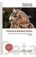 Chestnut-Backed Owlet: (English)