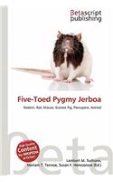 Five-Toed Pygmy Jerboa