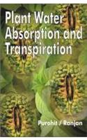 Plant Water Absorption And Transpiration