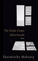 Gods Came Afterwards