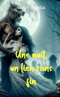 Une nuit, un lien sans fin