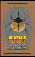 Beetles As Pets
