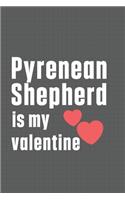 Pyrenean Shepherd is my valentine: For Pyrenean Shepherd Dog Fans