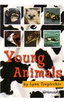 Harcourt School Publishers Trophies: Below Level Individual Reader Grade 1 Young Animals