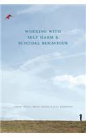 Working With Self Harm and Suicidal Behaviour