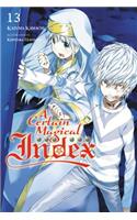 A Certain Magical Index, Vol. 13 (light novel): Volume 13