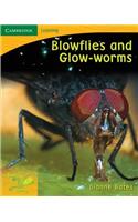 Pobblebonk Reading 4.4 Blowflies and Glow Worms