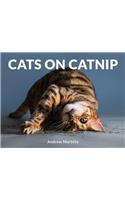 Cats on Catnip