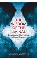 Wisdom of the Liminal