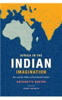 Africa in the Indian Imagination