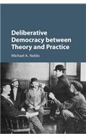 Deliberative Democracy Between Theory and Practice