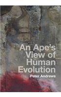 An Ape's View of Human Evolution