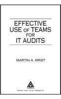 Effective Use of Teams for IT Audits