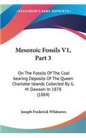 Mesozoic Fossils V1, Part 3