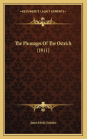 The Plumages Of The Ostrich (1911)