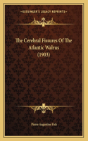 The Cerebral Fissures Of The Atlantic Walrus (1903)