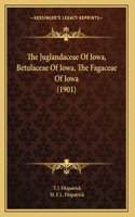 The Juglandaceae Of Iowa, Betulaceae Of Iowa, The Fagaceae Of Iowa (1901)