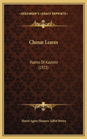 Chenar Leaves