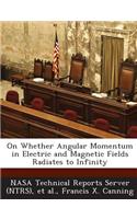 On Whether Angular Momentum in Electric and Magnetic Fields Radiates to Infinity