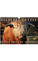 Highland Cattle - Native Breed of Scotland 2018
