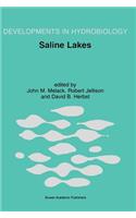 Saline Lakes