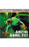 Amazing Animal Feet