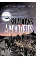 Shadows of Amadeus