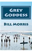 Grey Goddess: Your journey isn't over until you fly with the Grey Goddess