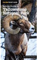 Nature Guide to Yellowstone National Park