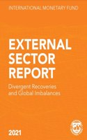 External Sector Report 2021