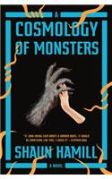 A Cosmology of Monsters