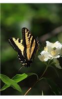 A Black and Yellow Swallowtail Butterfly on a Flower Summer Day Journal: 150 Page Lined Notebook/Diary