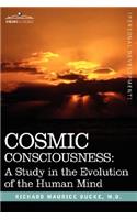 Cosmic Consciousness