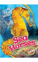 Sea Horses