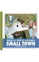 What's It Like to Live Here? Small Town: (Community Connections: What's It Like to Live Here?)