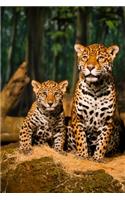 Leopard cub Lovers Gift For Girls, Boys, Women & Men