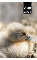 Duck Geese Goose Mallard Duckling Week Planner Weekly Organizer Calendar 2020 / 2021 - Very Tired