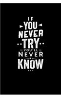If You Never Try You'll Never Know