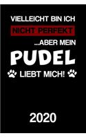 Pudel 2020: Kalender Lustiger Hunde Spruch Terminplaner Frauchen Herrchen Terminkalender Wochenplaner, Monatsplaner & Jahresplaner für Hundefrauchen & Hundebesi