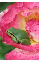 Tree Frog in a Pink Rose Journal: Take Notes, Write Down Memories in this 150 Page Lined Journal